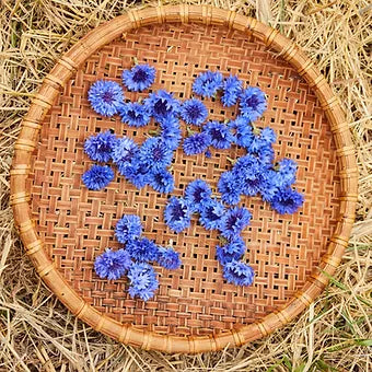 this is our blog title for today