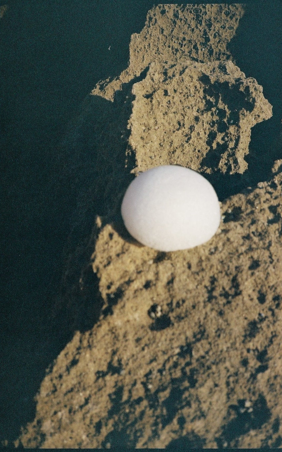 Forah Konjac Sponge image 1