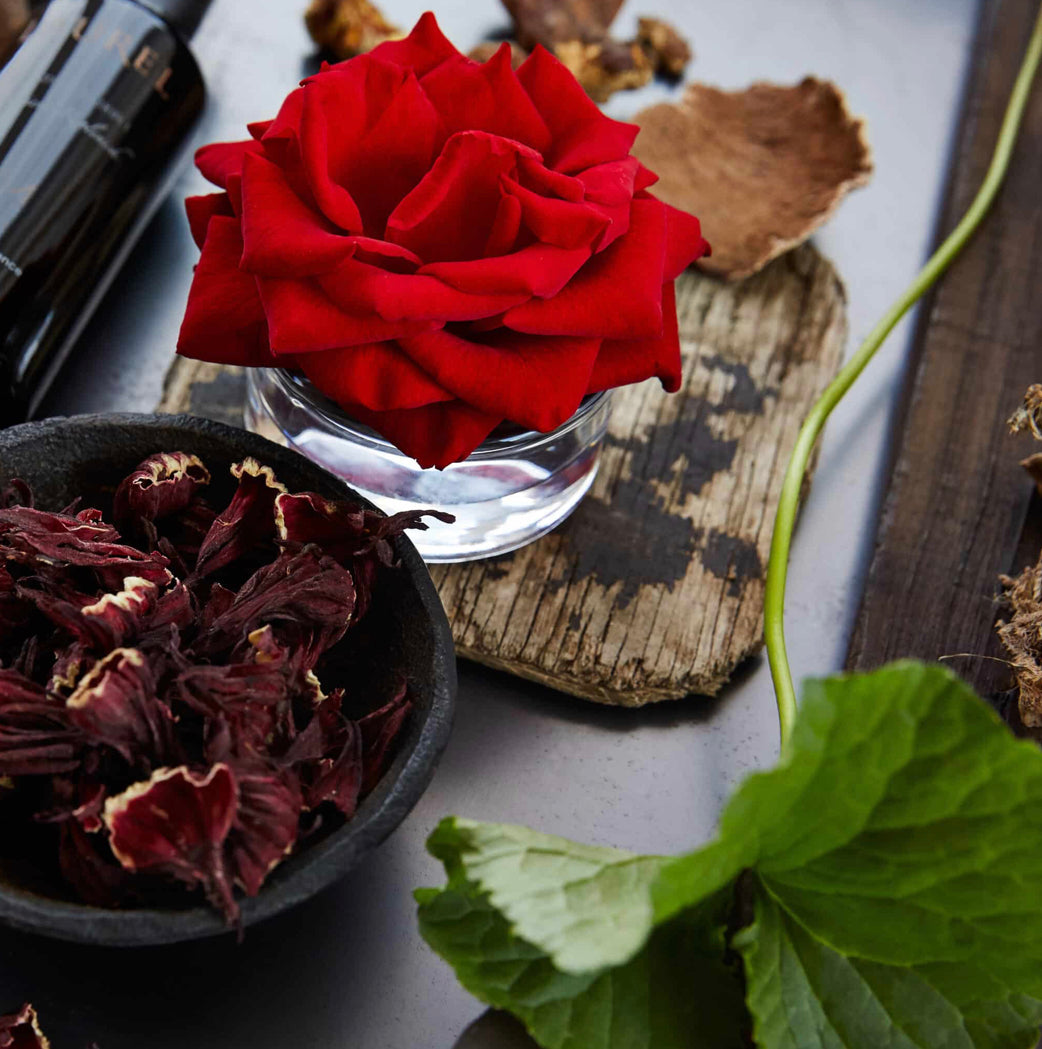 Laurel WPO  Hydrating Elixir I - Phytonutrient Replenish image 2