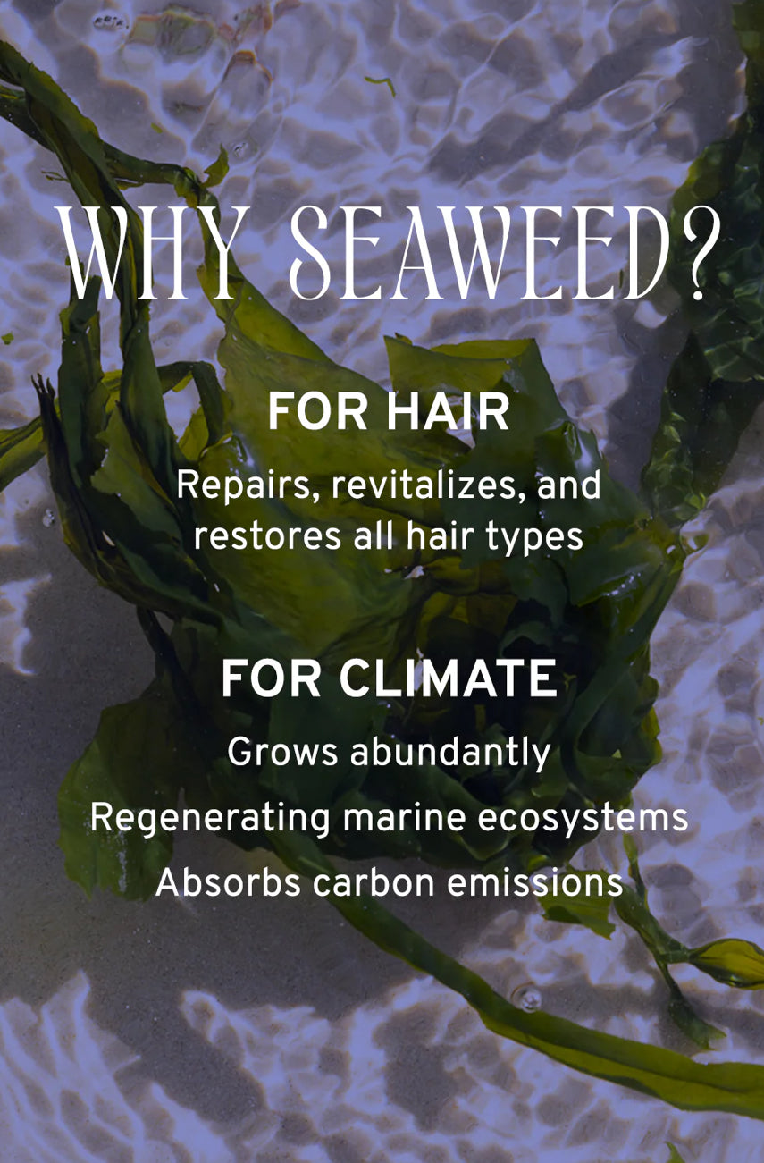 Captain Blankenship Sea Salt Spray w/ Aloe & Seaweed image 5