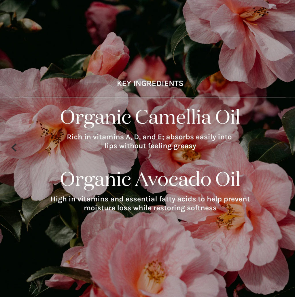 Kari Gran Peptide Smoothing Lip Whip image 5