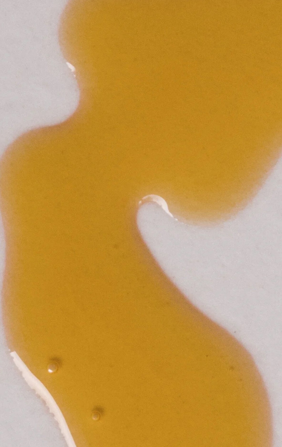 Wildgold Botanicals Liquid Gold Facial Oil image 2