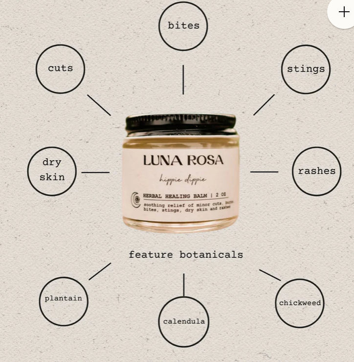 Luna Rosa Hippie Dippie Herbal Healing Balm