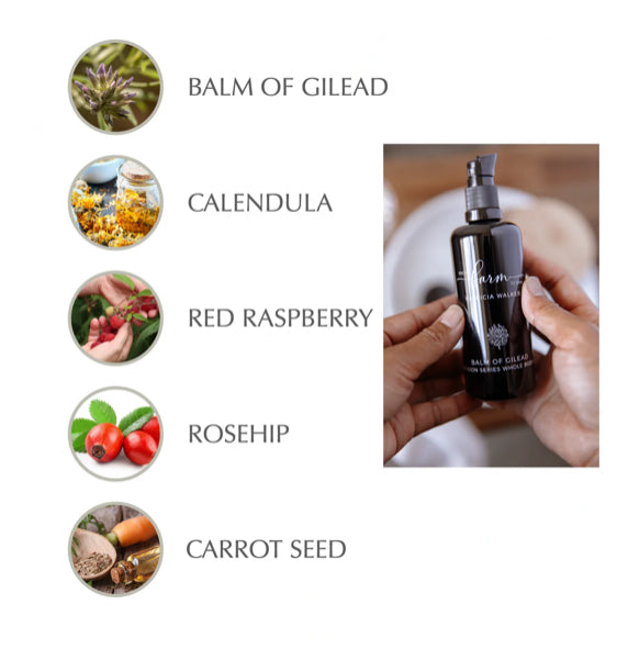 Farm to Skin Balm of Gilead Whole Body Oil image 2