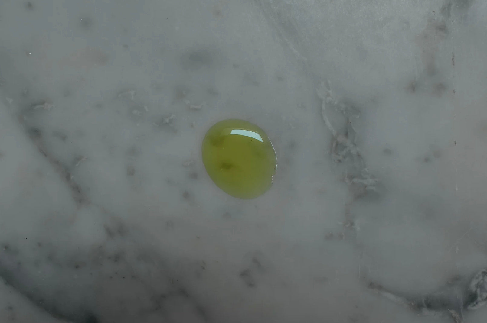 Tidelands House Thé Sauvage Fermented Spring Greens Facial Serum image 1