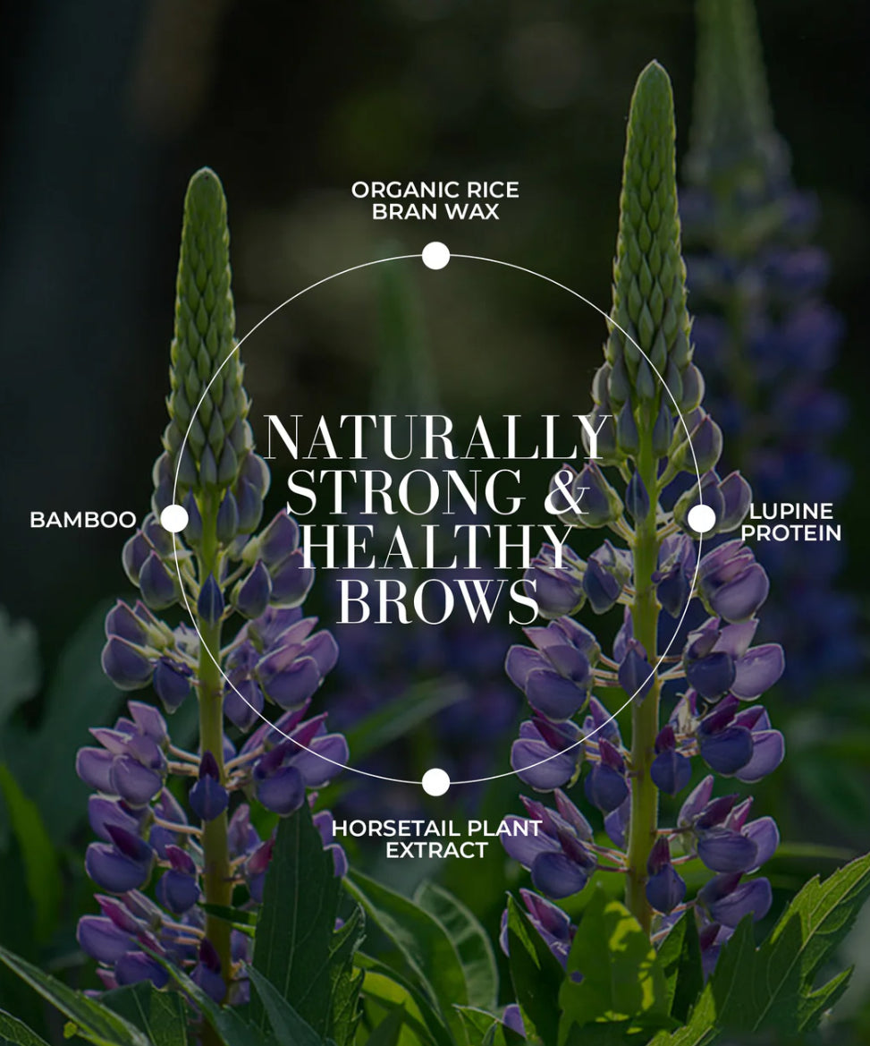 Fitglow Beauty Plant Protein Brow Gel image 4