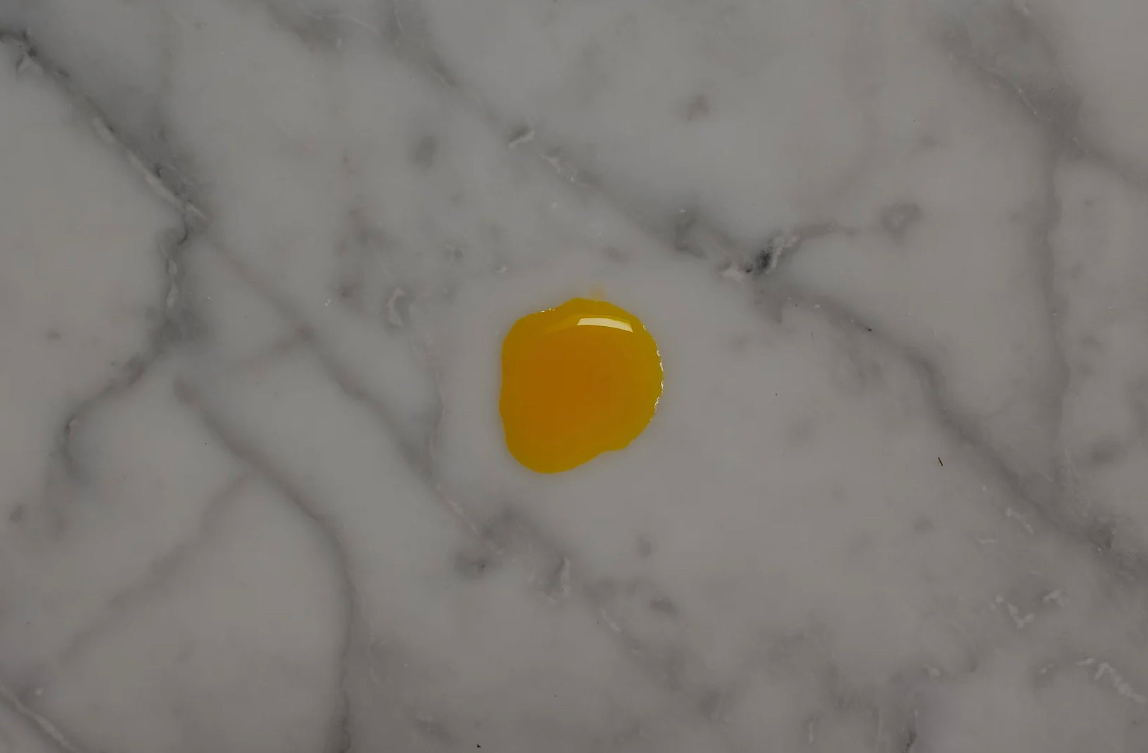 Tidelands House Reishi Boréale Phytonutrient Sun Repair Facial Serum image 1