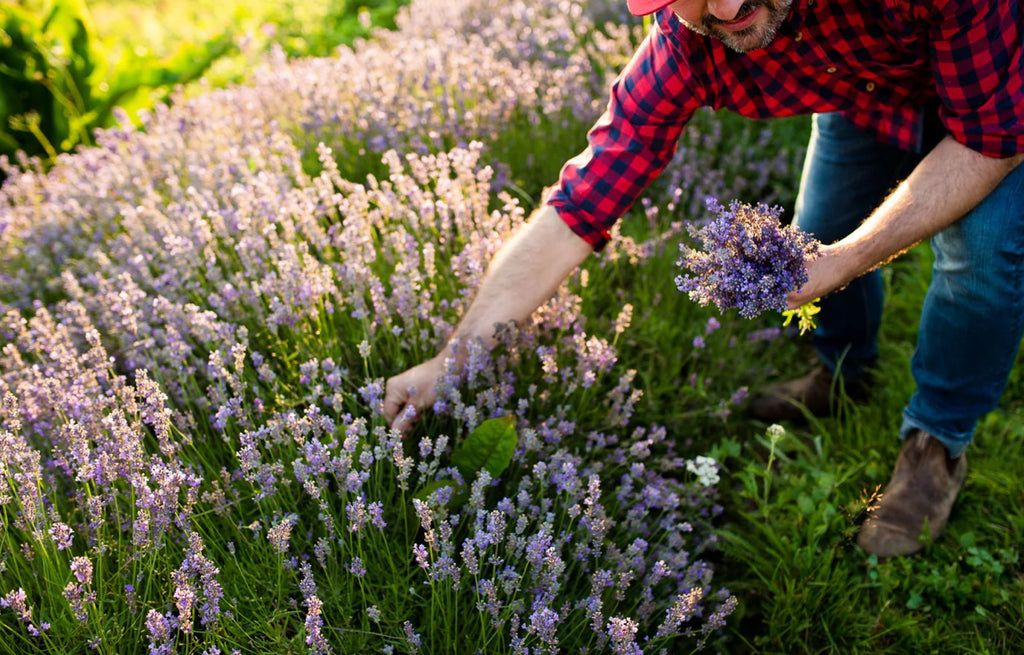 East Coast Glow Iceberg Infused Bar Soap image 1